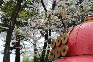 建築家の軽井沢便り 真田神社の桜